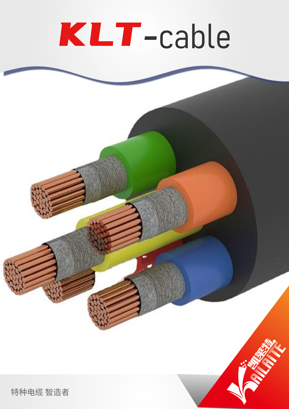Extension & Compensating Cables