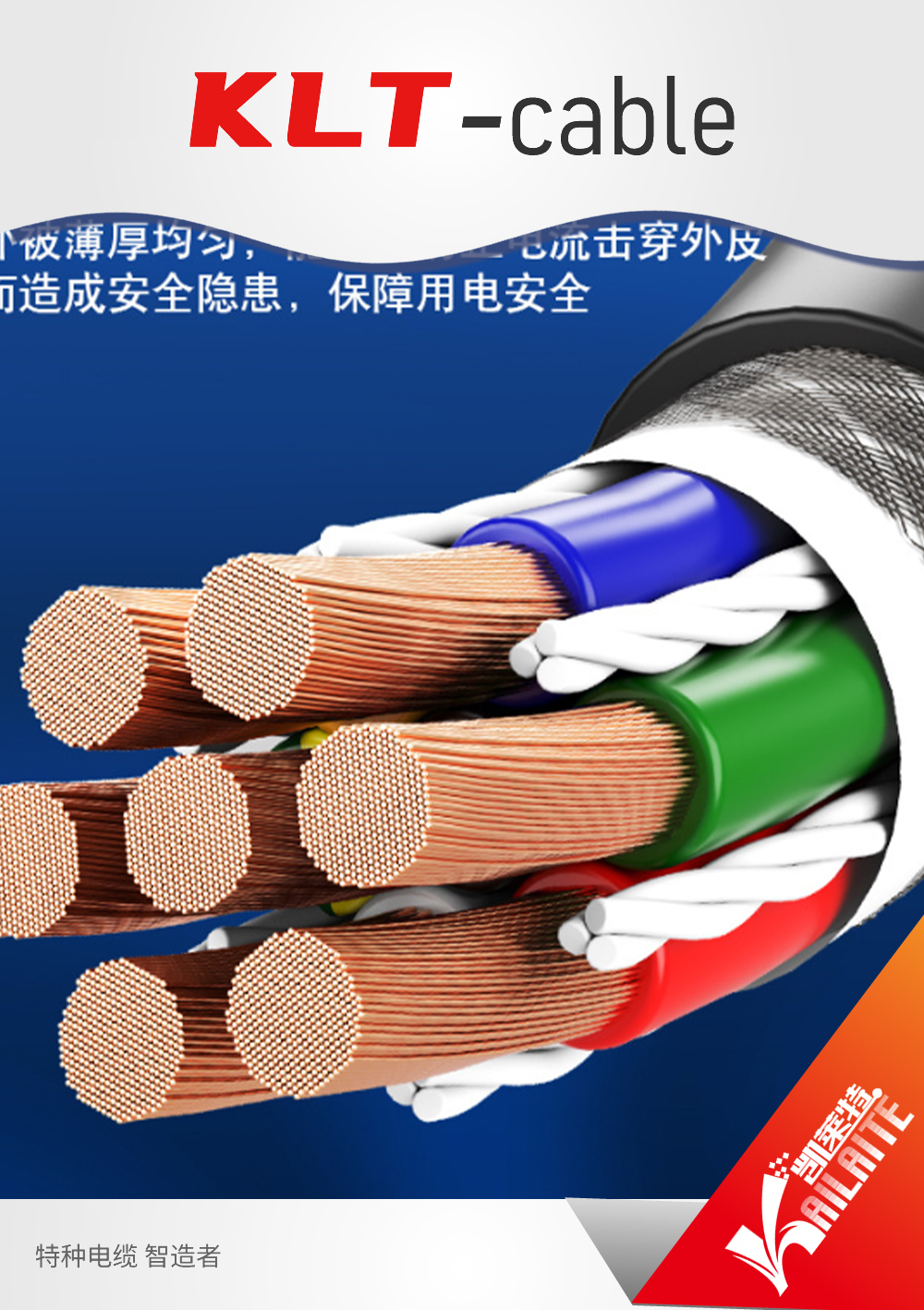 Extension & Compensating Cables