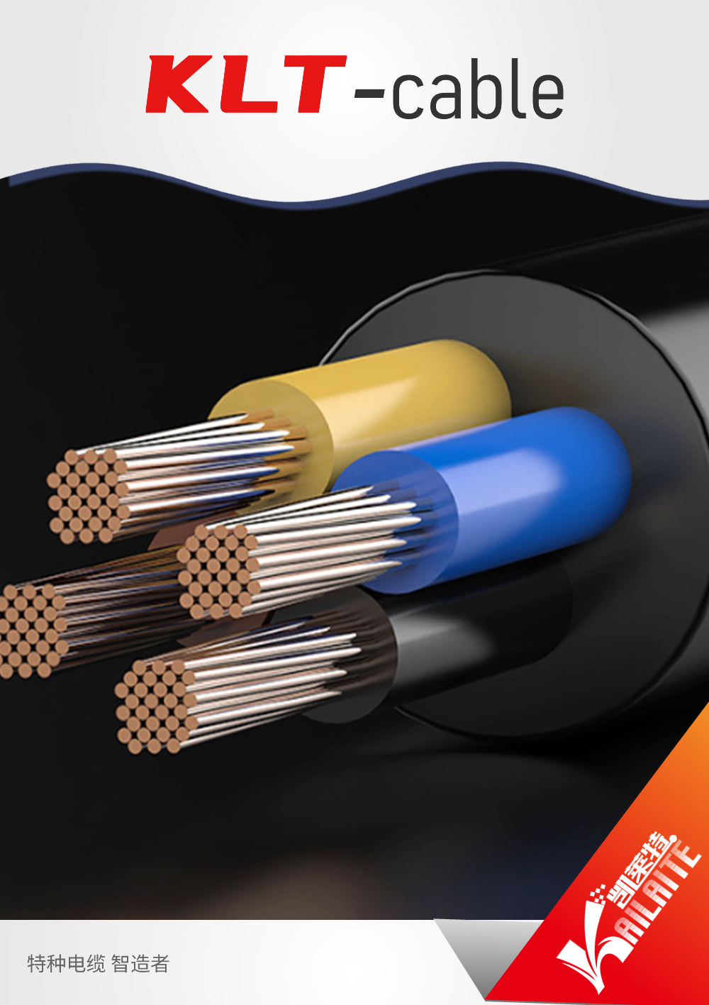 Extension & Compensating Cables